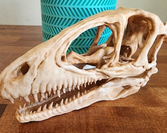 Deinonychus Replica Skull 3D Printed