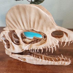 Réplica de cráneo de Dilophosaurus impresa en 3D