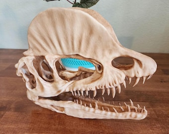 Dilophosaurus Replica Skull 3D Printed