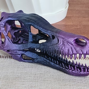 Velociraptor Replica Skull 3D Printed - Etsy