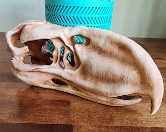 Phorusrhacos "Terror Bird" Replica Skull 3D Printed