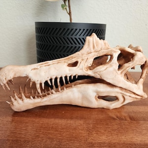 Spinosaurus Replica Skull 3D Printed
