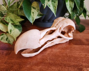 Dodo Replica Skull 3D Printed