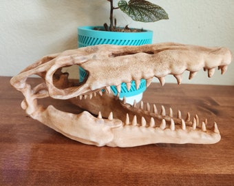 Mosasaurus Replica Skull 3D Printed