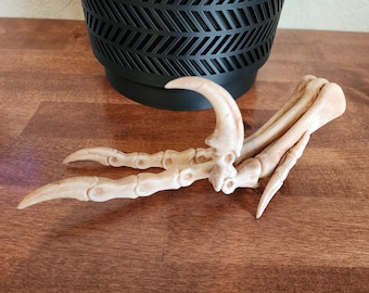 Velociraptor Foot Replica - 3D Printed