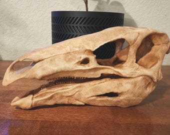 Stegosaurus Replica Skull 3D Printed