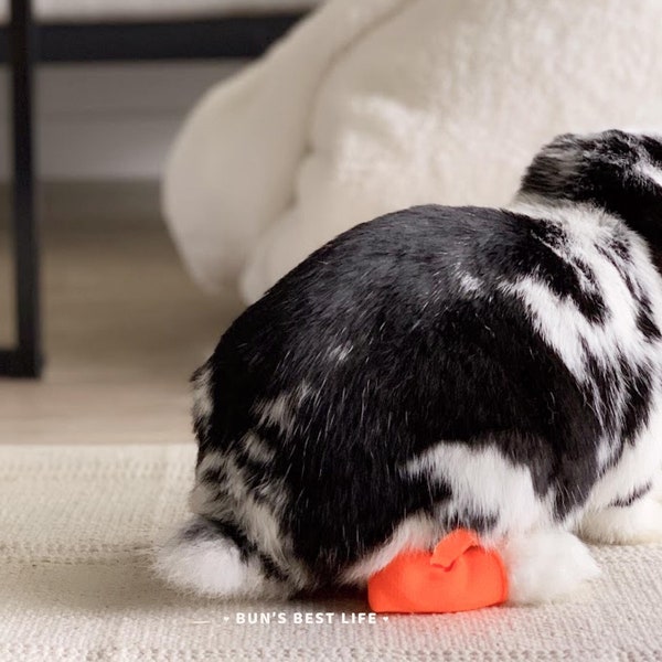 Bunny Hock Socks, Pododermatitis Protection, Soft Fleece Rabbit Shoe
