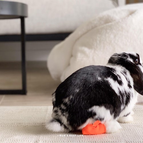 Bunny Hock Socks, Pododermatitis Protection, Soft Fleece Rabbit Shoe