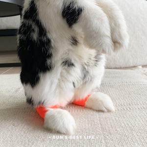 Bunny Hock Socken bei Wunde Hocks/Pododermatitis/Hummel Bild 8