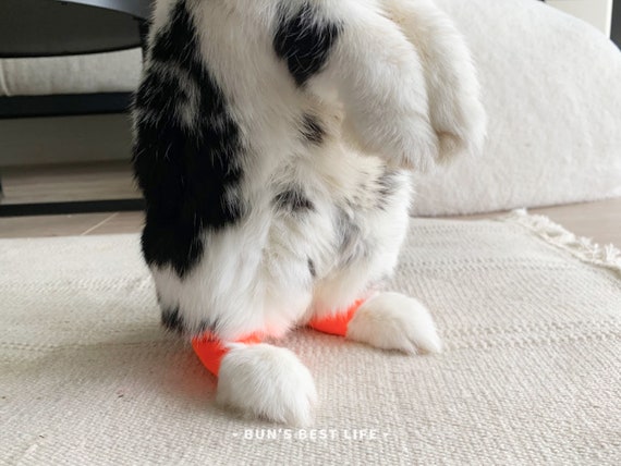 Sore Etsy Hock - Bunny for Socks Hocks/pododermatitis/bumblefoot