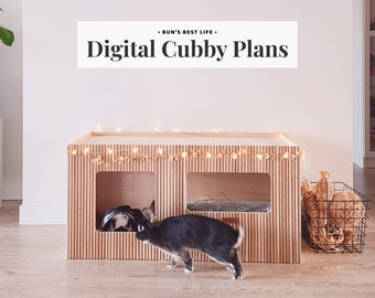 Digital Download Plans for Luxury Bunny Cubby | Free Roam Bunnies Cat Home Base Litter Box Hidey House Aesthetic Rabbit Set Up