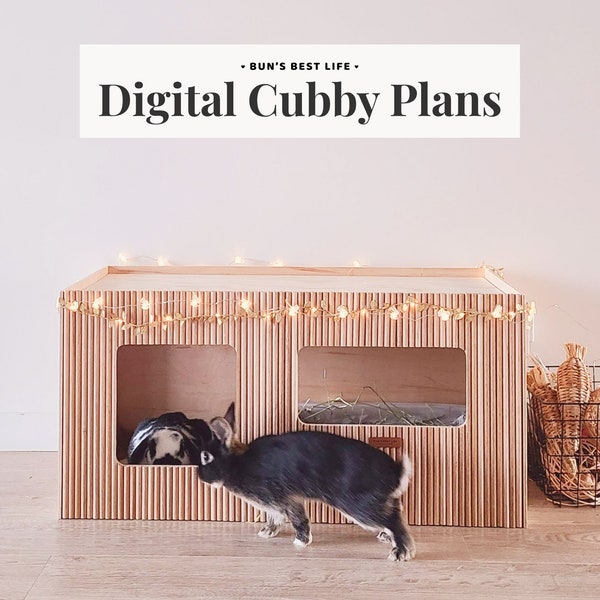 Digitale downloadplannen voor luxe Bunny Cubby | Free Roam Bunnies Cat Home Base Kattenbak Hidey House Esthetisch Konijn Opstelling