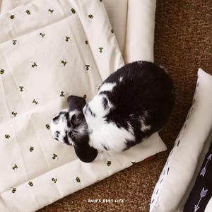 Omkeerbare waterdichte matten | Kleine Huisdieren Konijnen Cavia's Fretten Beddengoed Pad Kat Hond Pluche Kussen Kussen Vierkant Bed Chinchilla Lekker liggen