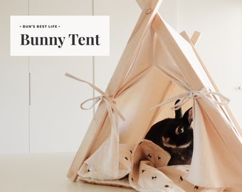 Pet Tent Frame and Cover