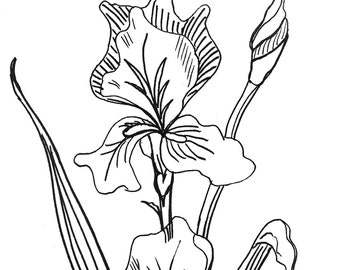 Desenho de linha de íris - uma impressão em papel