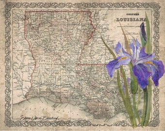 Mapa da íris da Louisiana - uma impressão em tela