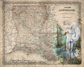 Louisiana Egret Map - A Paper Print
