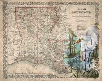 Mapa da garça da Louisiana - uma impressão em tela
