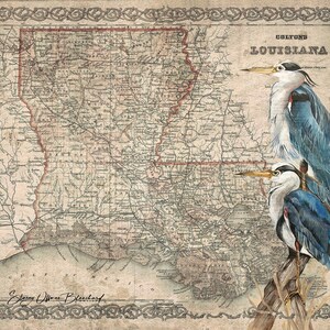Louisiana Blue Reiher Karte - eine Leinwanddruck