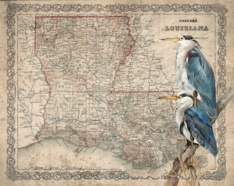 Mapa da garça azul da Louisiana - uma impressão em tela