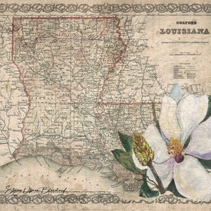 Louisiana Magnolia Map - A Canvas Print