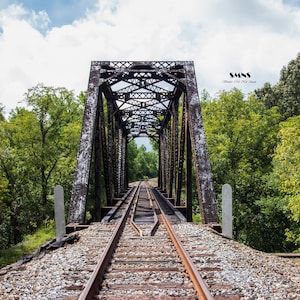 May include: A rusty metal railroad bridge with a single set of tracks running through it. The bridge is surrounded by green trees and a blue sky with white clouds.