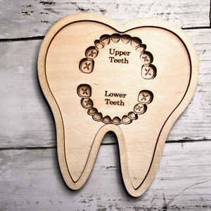 May include: A wooden tooth model with a cutout of teeth, labeled "Upper Teeth" and "Lower Teeth".