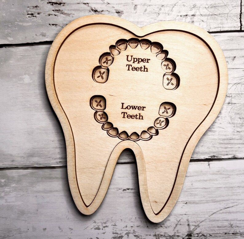 May include: A wooden tooth model with a cutout of teeth, labeled "Upper Teeth" and "Lower Teeth".
