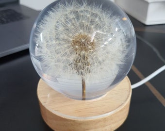 Details about   Resin Dandelion Crystal Lens Ball With Natural Plants Specimen Home Decorations 