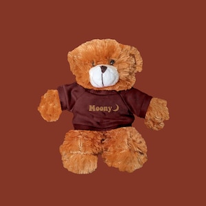 Moony marauders atyd stuffed animal with tee Remus Lupin gift aesthetic
