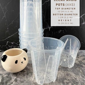 May include: Clear plastic aroid pots (XXS) with a top diameter of 4.5 inches, bottom diameter of 3.2 inches, and a height of 5.5 inches. A small panda-shaped ceramic pot is also visible. The pots are stacked and arranged on a dark surface.