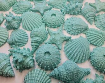 Sea Shell Soaps party favors baby shower favors wedding favors bridal shower favors