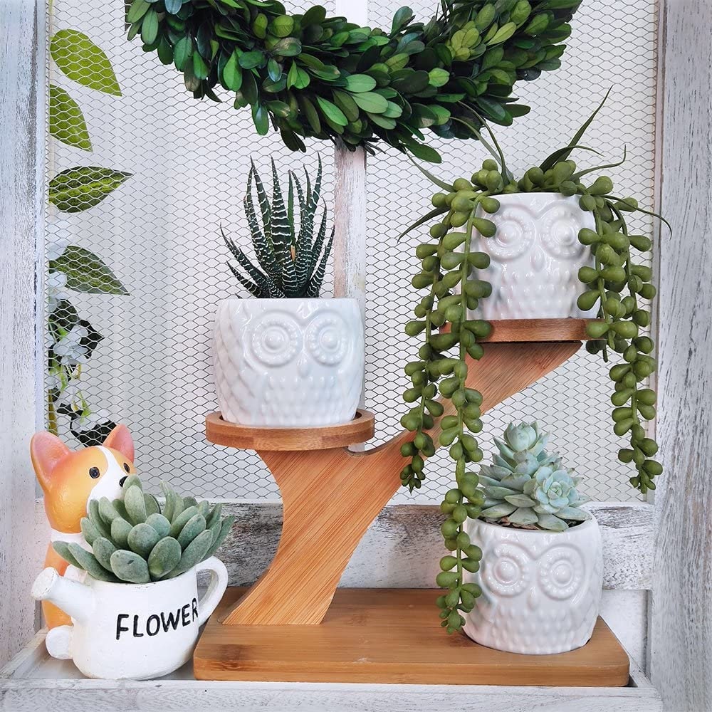 3Pcs Owl Succulent Pot Ceramic Garden Flower Planter Holder Bamboo Stand Sets 