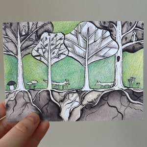 Carte postale "Rencontre" (automne). Inspiré de la nature. Renards dans la forêt. R6.