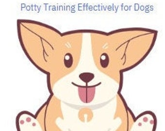 How to potty train your dog