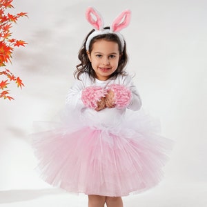Rabbit Girl Birthday Tutu Dress with Ear Hairband, Toddler Photoshoot Dress, 2st Birthday Dress, Long Sleve Bunny Baby Girl Outfit