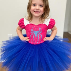 May include: A pink and blue Spider-Man-themed tutu dress. The bodice is pink with a blue spider emblem, white trim, and short sleeves. The skirt is a full, vibrant blue tulle. A child is wearing the dress.
