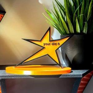 Funny Your Did It Loser Trophy, You Did it Stupid Award, Well Done Gift, You Tried Meme Trophy, Passed Driving Test, 1st Job Retirement Gift