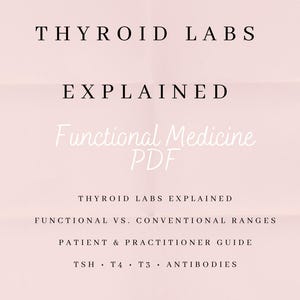 Op de afbeelding: Een lichtroze PDF-omslag met de titel "THYROID LABS EXPLAINED" in zwarte hoofdletters. Hieronder staat de tekst "Functional Medicine PDF" in een cursief lettertype. Extra tekst bevat "FUNCTIONAL VS. CONVENTIONAL RANGES" en "PATIENT & PRACTITIONER GUIDE."