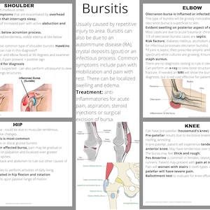 Könnte beinhalten: Diagramm, das die Anatomie von Schulter, Hüfte, Ellbogen und Knie mit Beschreibungen der Bursitis in jedem Bereich veranschaulicht. Das Diagramm zeigt die Lage der Bursa, die Symptome und die Behandlungsmöglichkeiten für jede Art von Bursitis.