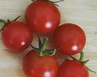 Matt's Wild Cherry Heirloom Tomato Seeds