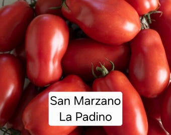 San Marzano La Padino Paste Tomato Seeds
