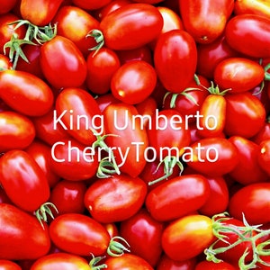 King Umberto Heirloom Cherry Tomato Seeds