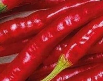 Cayenne Long Thin Hot Heirloom Pepper Seeds