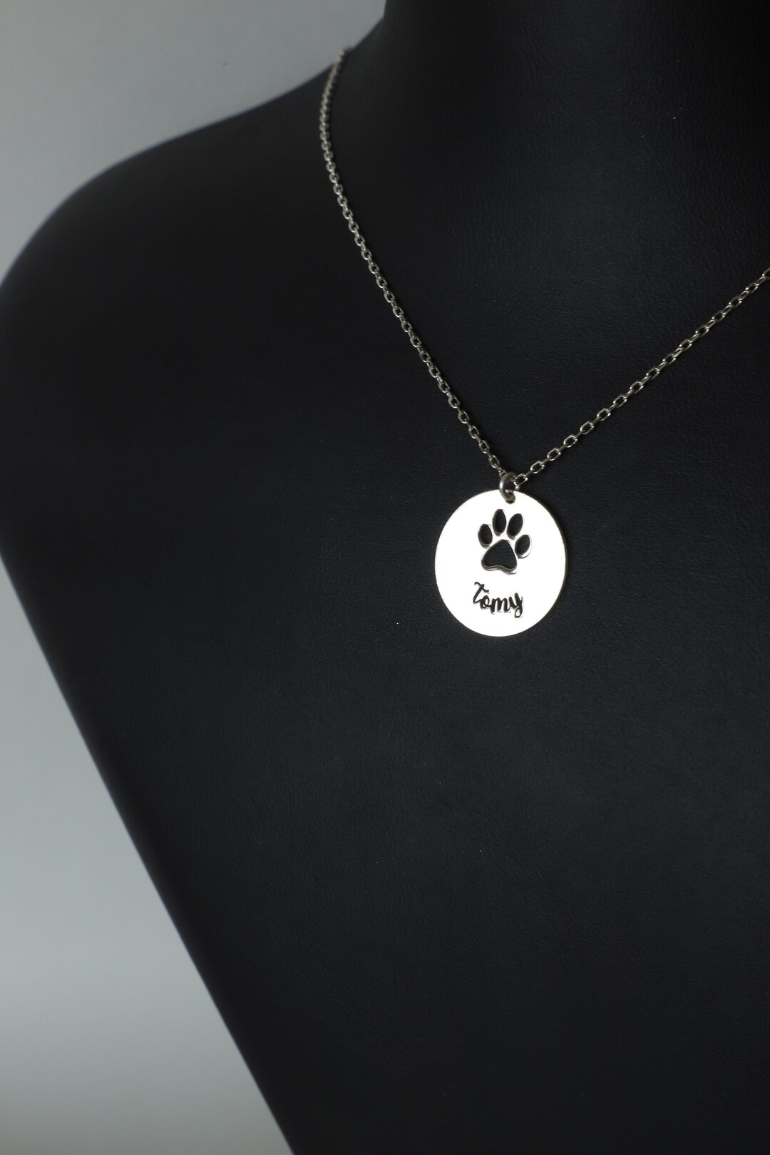 Custom Pet Name Necklace, Engraved Animal Name Necklace, Personalized