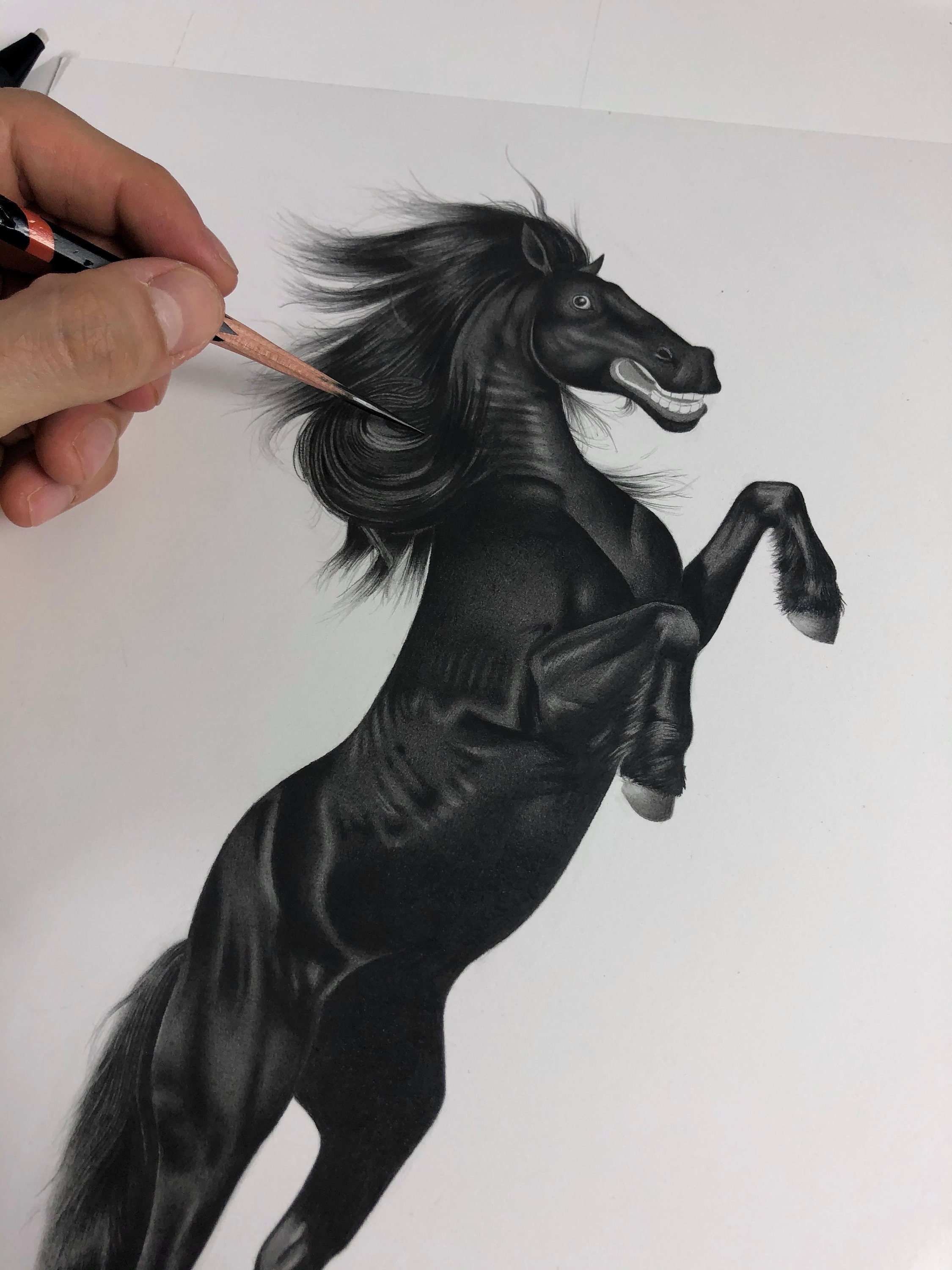 Stunning Drawing By Astolfitoliz Takes Over Tiktok - r6ftwwv