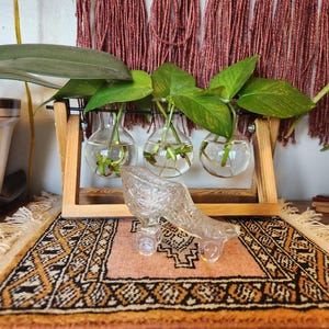 May include: A wooden plant stand with three glass bulb vases holding green plants. A clear glass roller skate sits on a patterned rug. A macrame wall hanging is in the background.