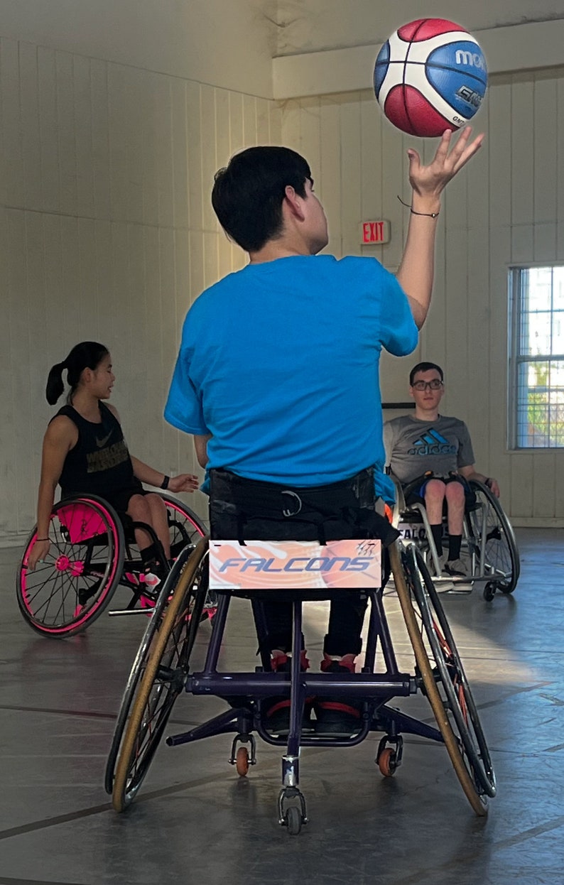 Personalized Wheelchair Accessory, Funny Wheelchair License Plate, Specialized Wheelchair