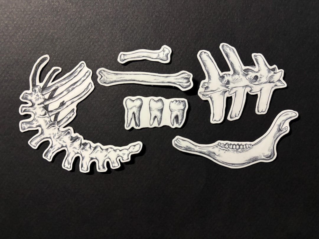 Bone Inlay Sticker Bones Sticker Pack - Etsy