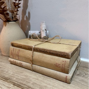 Luxury Bling Book Stack Custom Made Bling Books Stack of 3 Brown/beige Boss  Babe 
